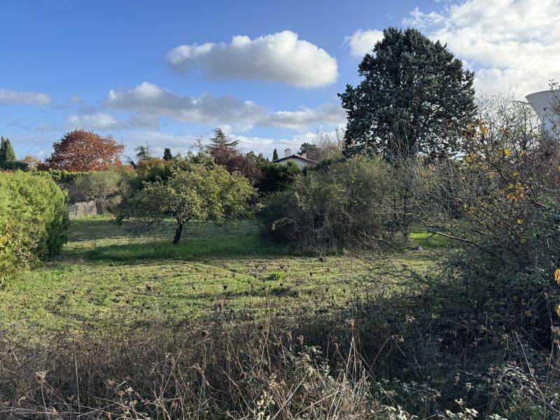 Grand jardin arboré 