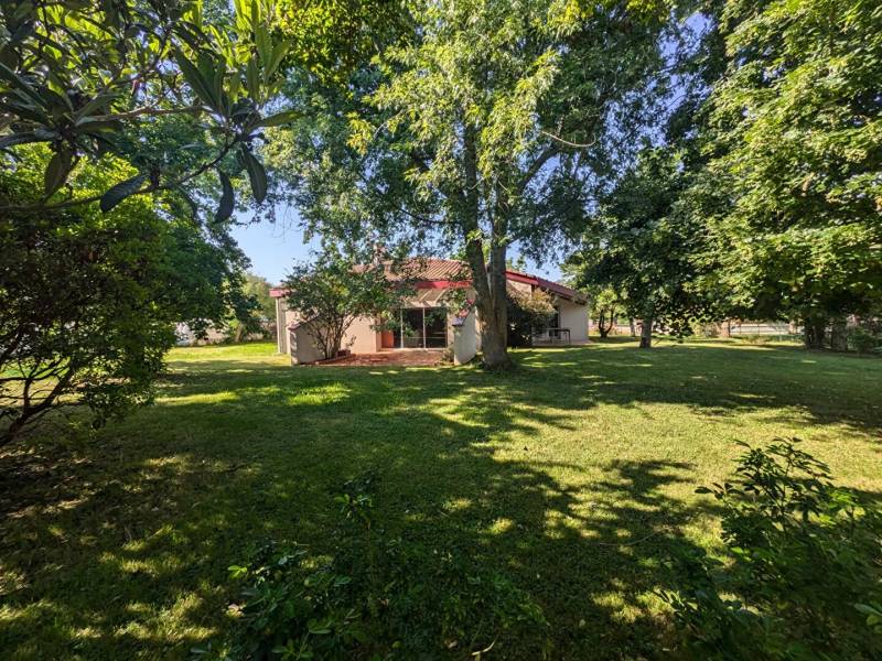 Exclusivite emplacement de choix maison d'architecte T5 Pibrac centre sur beau jardin de 1500 m² sans vis à vis.