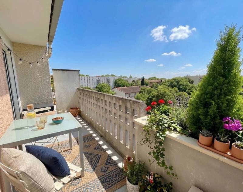 Grand appartement rénové avec terrasse Blagnac centre
