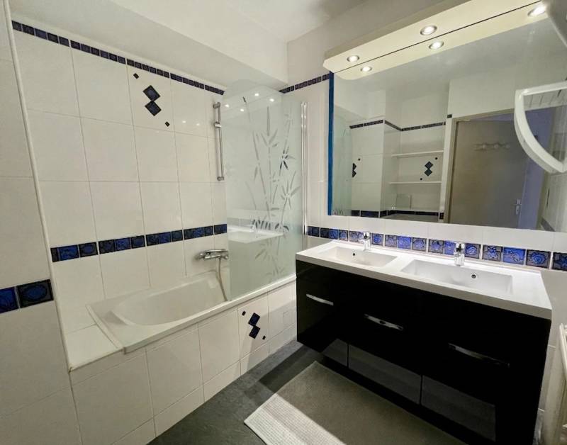 Grand appartement rénové avec terrasse Blagnac centre