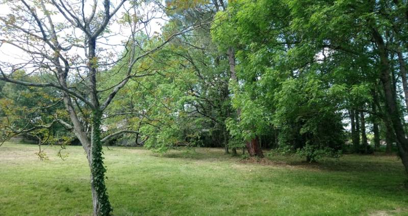 PIBRAC - TERRAIN A BATIR