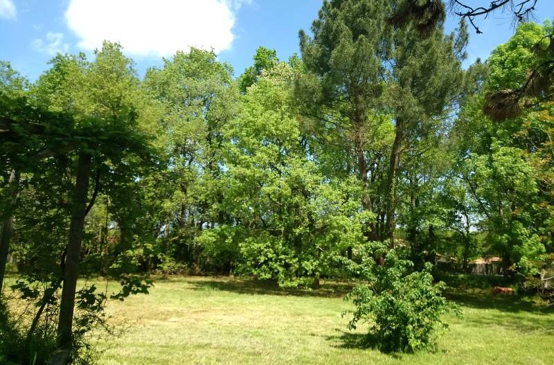 PIBRAC - TERRAIN A BATIR